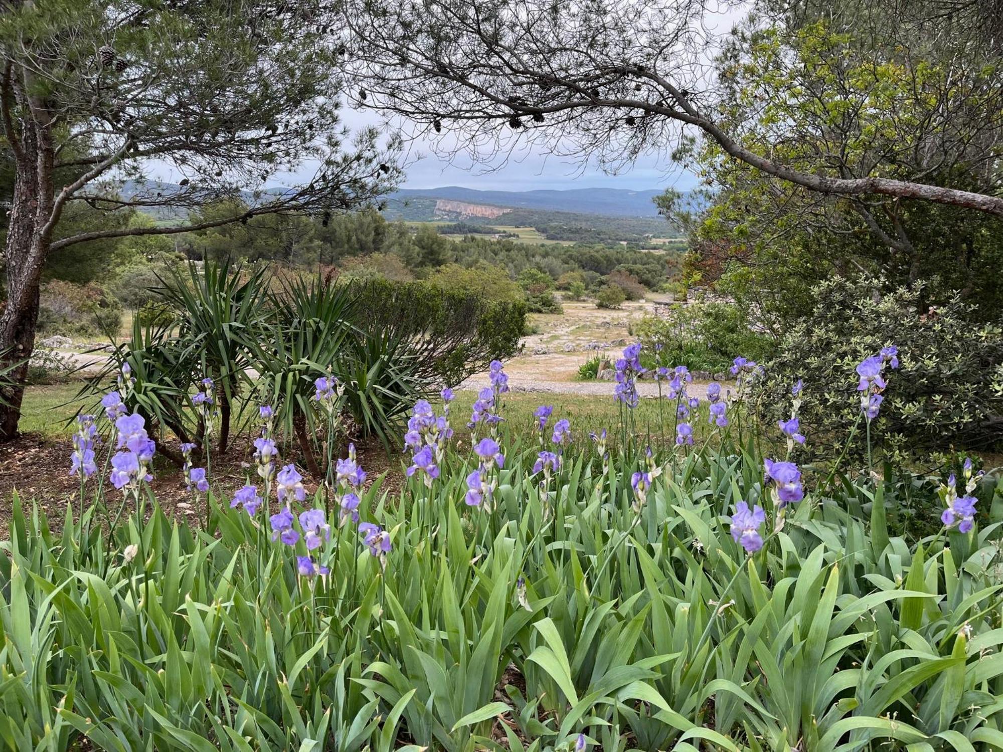 Lovely Views In Secret Provence جوكاس المظهر الخارجي الصورة