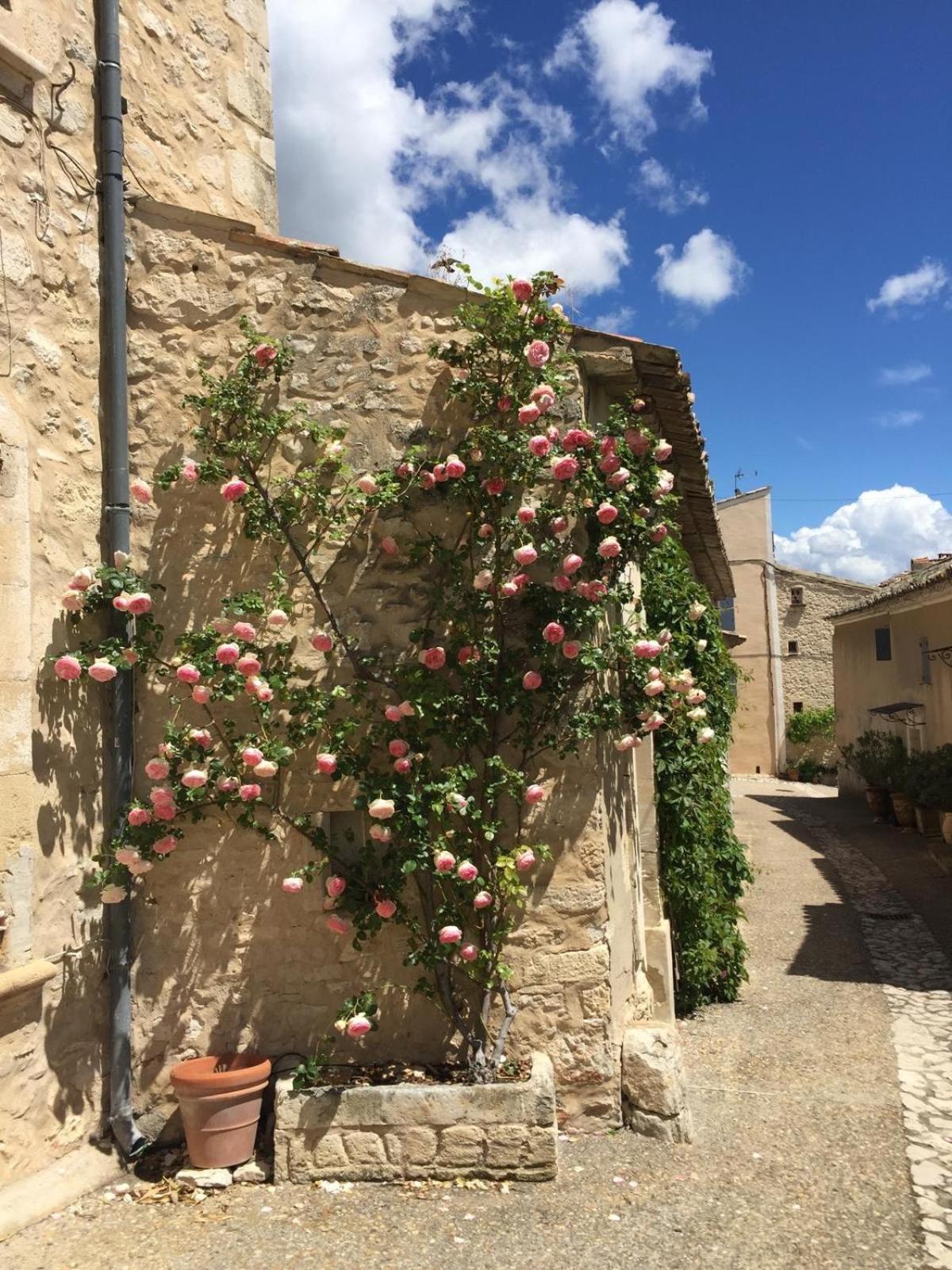 Lovely Views In Secret Provence جوكاس المظهر الخارجي الصورة